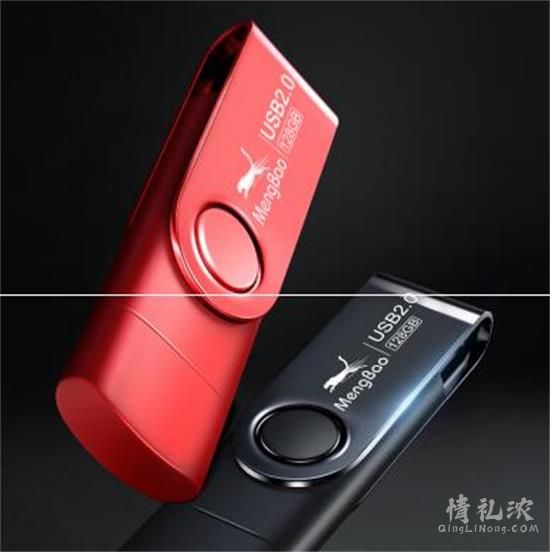 两用个性创意u盘配图2